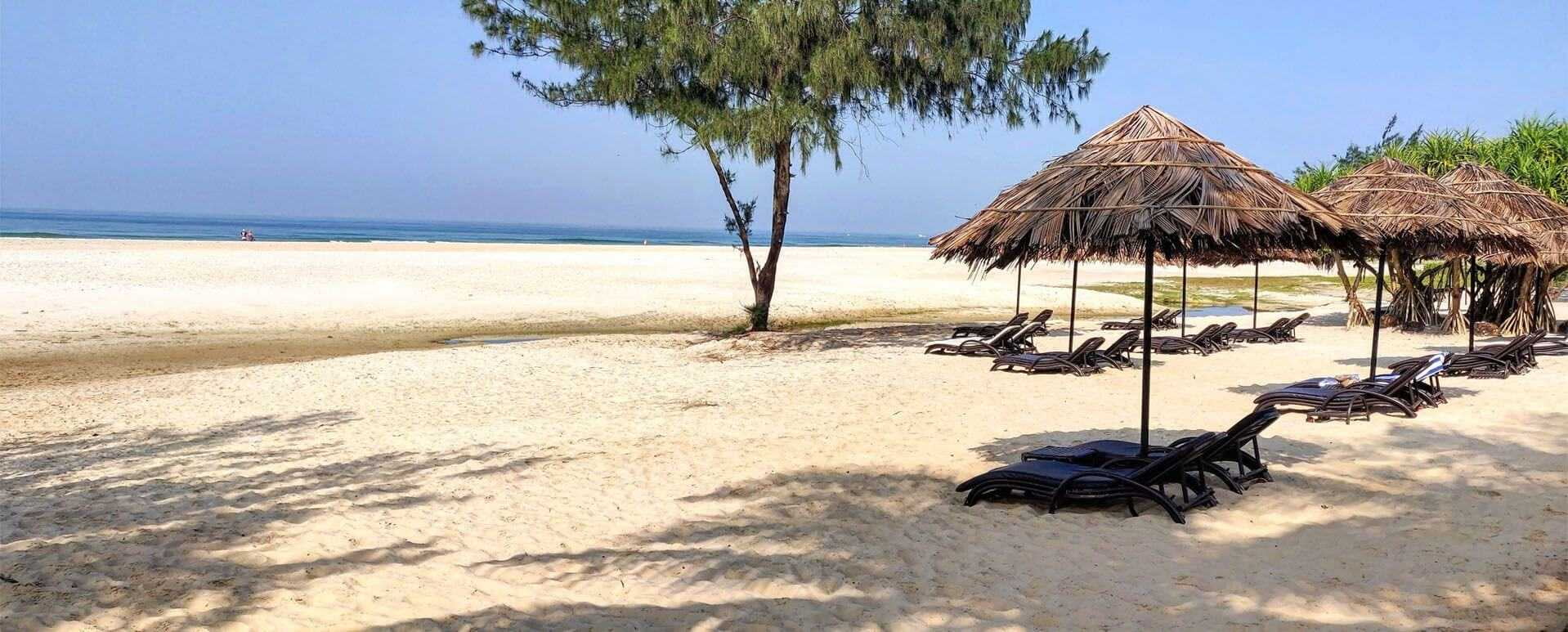 TROPICAL DESTINATION